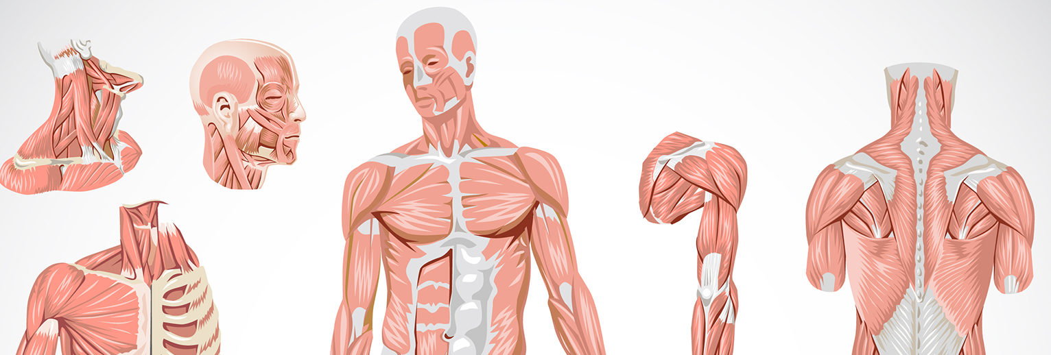Pain Relief Treatment